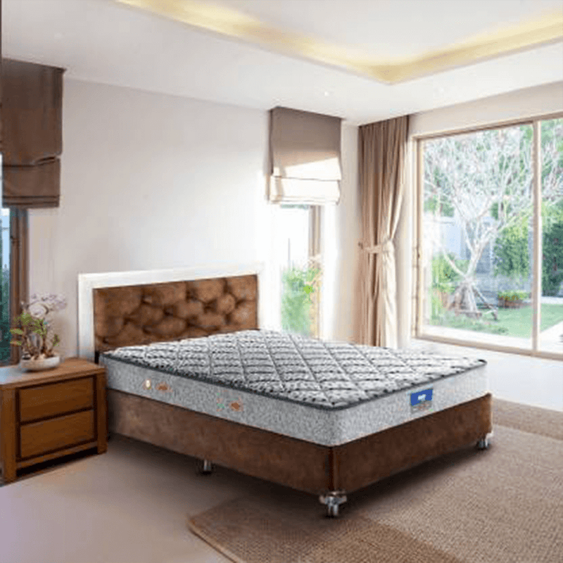 Peps restonic bed online price