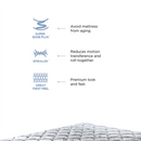 Peps Restonic Ardene Euro Top 8 inch Pocketed Spring Mattress With Free Pillow