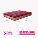 Peps Restonic Bonnell Sanibel Pillow Top 6-inch Spring Mattress with Free Pillow