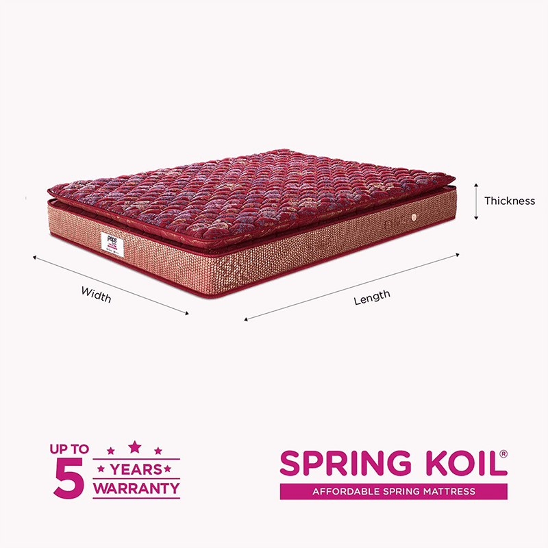 Peps Springkoil Bonnell Pillow Top 6-inch Spring Mattress with Two Free Pillow