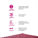 Peps Springkoil Bonnell Pillow Top 6-inch Spring Mattress with Two Free Pillow