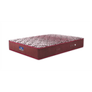 Peps Restonic Bonnell Sanibel 6-inch Spring Mattress with Free Pillow