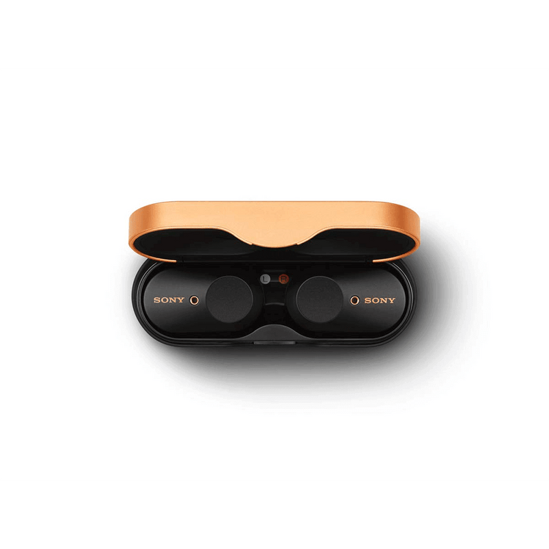 Sony WF-1000XM3 Truly Wireless Bluetooth Earbuds/Earbuds with Battery Life 32 Hours, Alexa Voice Control and mic for Phone Calls  True Wireless Industry Leading Active Noise Cancellation